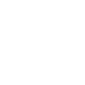 social icon instagram